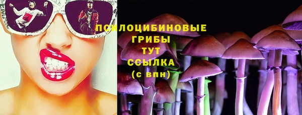 МДПВ Абаза