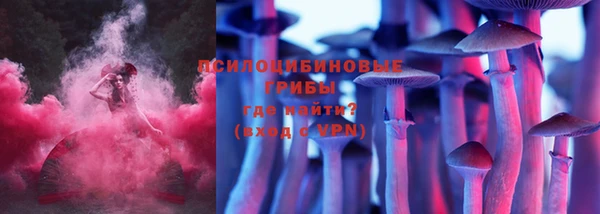 МДПВ Абаза
