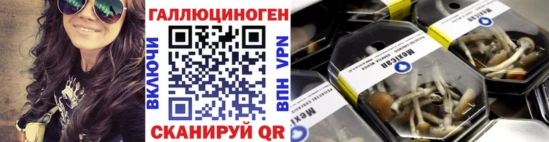 Псилоцибиновые грибы прущие грибы  где купить наркоту  Кораблино 
